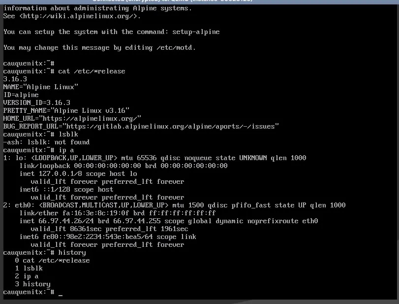 Captura de pantalla de una terminal de Linux con varios comandos consultando información sobre el sistema operativo que corría, entre otras cosas